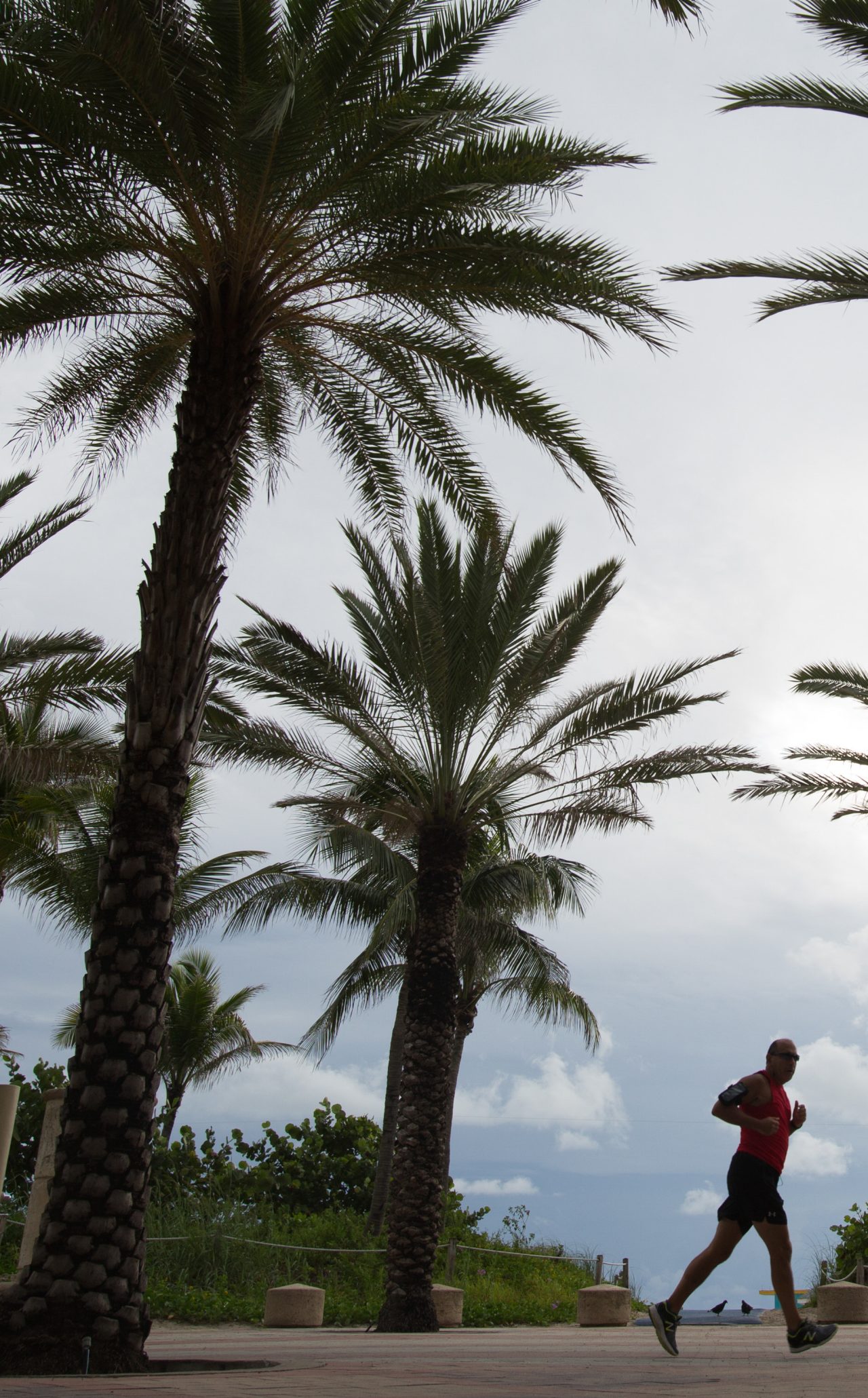 RWJF COH Miami. August 29-31, 2016.  Pictures of people exercising (walk, run, bike) along Miami Beach neighborhood area.