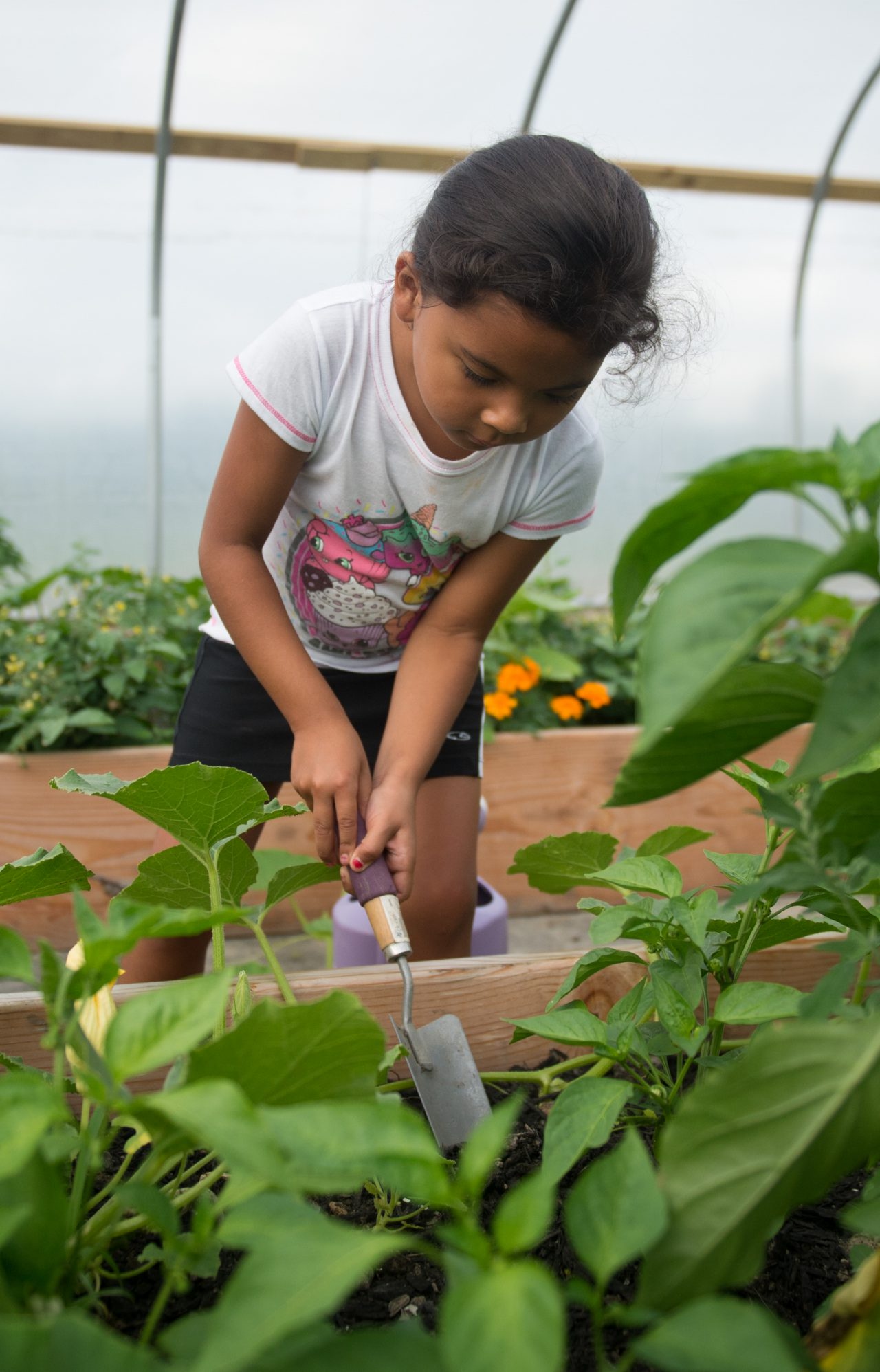 A young girl tending plants in a greenhouse.