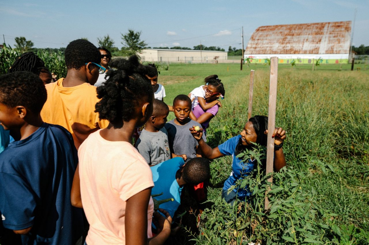 A group of children exploring a community garden in a farmland setting.