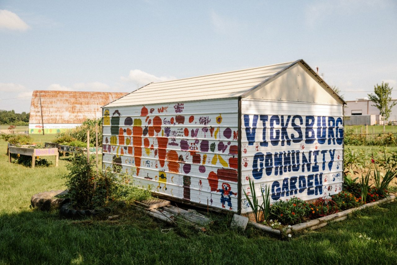 A muraled shed located in a community garden. 